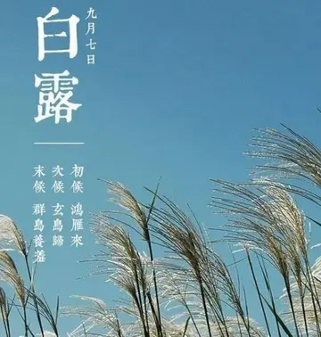 关于白露的诗句文案杜甫