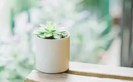 阳光清新的句子文案简短