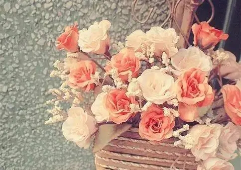 婚姻情感语录文案与感悟