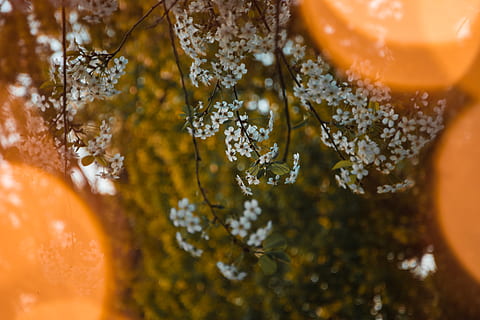 静心的正能量句子文案