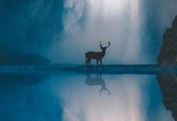 和女朋友分手了想挽回的话语