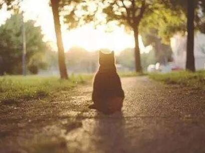 送给自己的励志句子文案