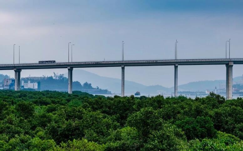 表达随心的诗句文案