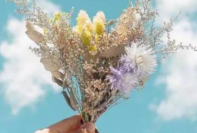 今日早安问候语带天气