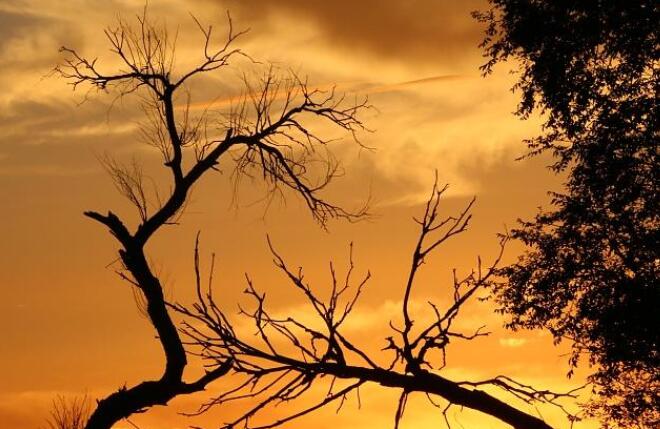 描写黄昏的唯美句子文案伤感