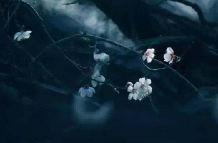 藏在古诗里的情侣名