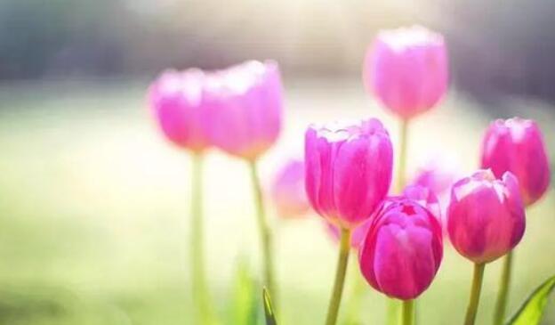 人变了的经典句子文案