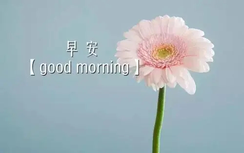 早安感情温馨句子文案致自己