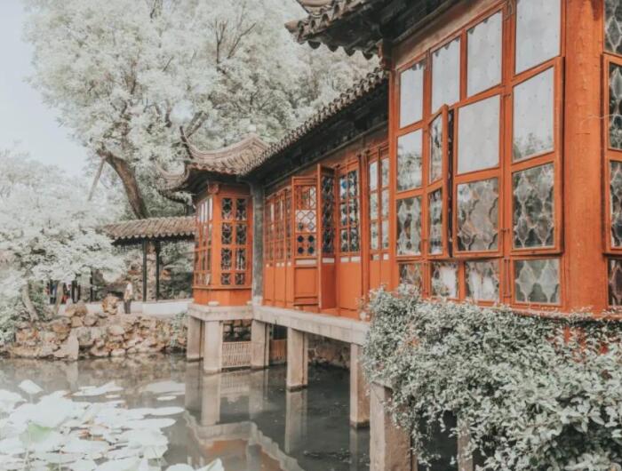 怀念青春年少的诗句子文案