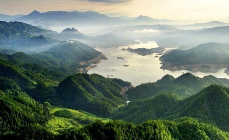 感悟人生扎心的句子文案