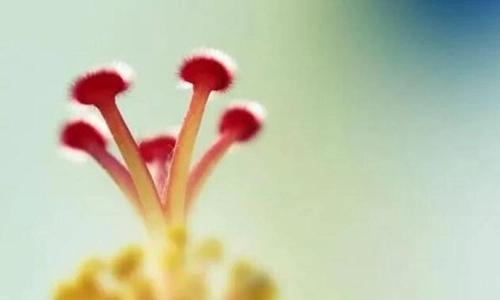 清晨早安的句子文案简短