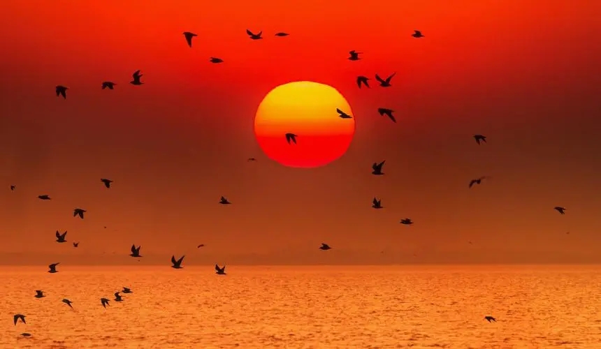 太阳下山的唯美的句子文案