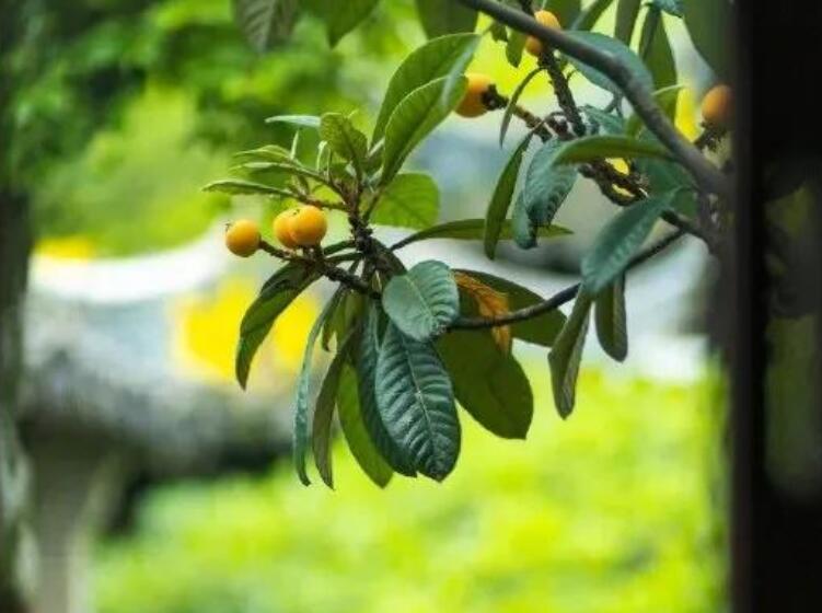 干净整洁的环境的句子文案