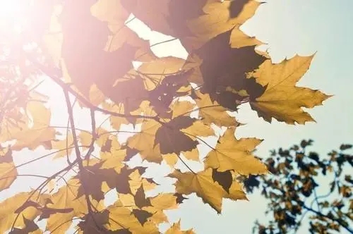 描写天气凉快的句子文案