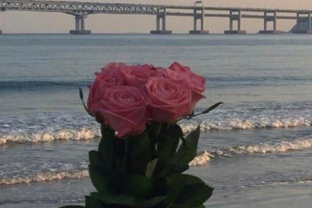 最美早安心语短句