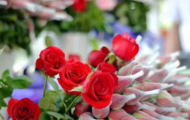 鲜花祝福语卡片简短