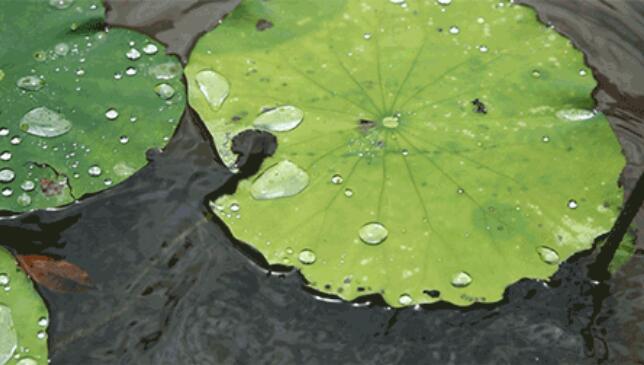 季节变幻的唯美句子文案