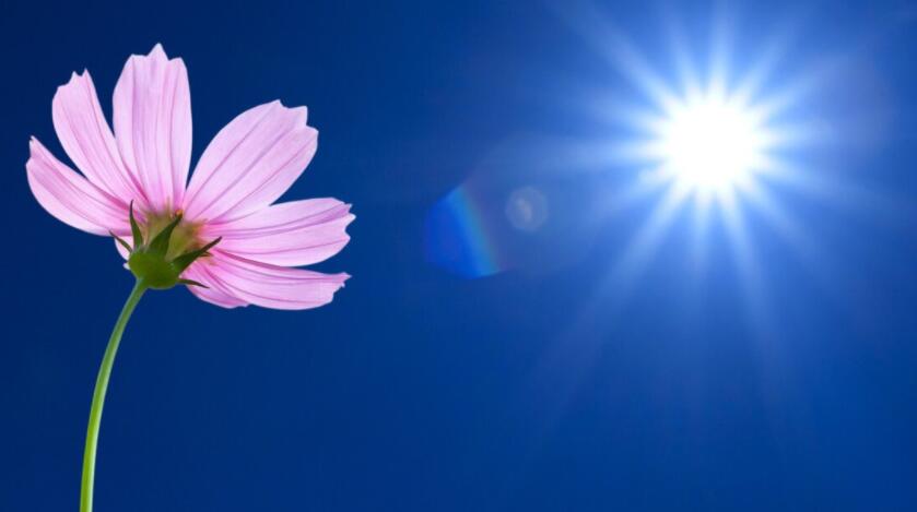 充满阳光的早安问候语