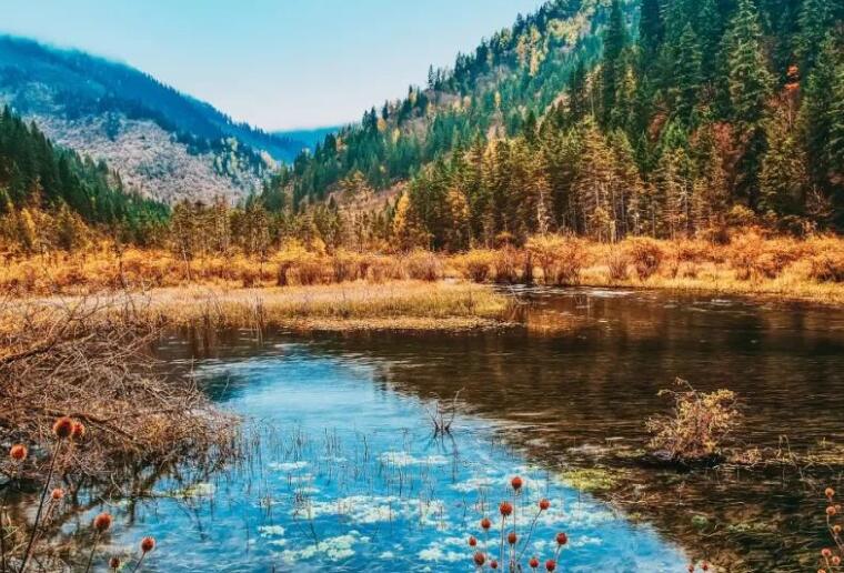 慢慢享受生活的诗句文案