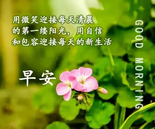 五月份清晨祝福语