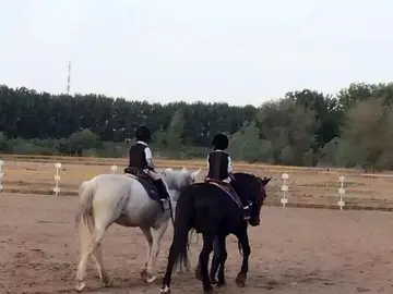 赞美骑马人霸气句子文案