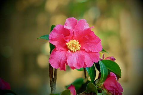 给情侣的一段感人的话