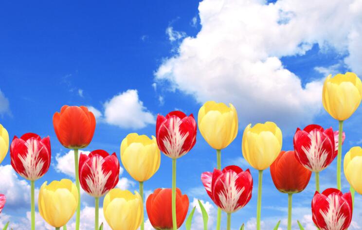 形容天气很好的句子文案