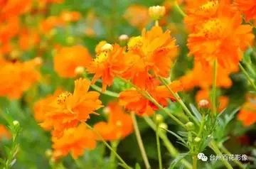 适合初秋发的朋友圈