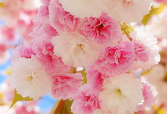 励志的句子文案较长