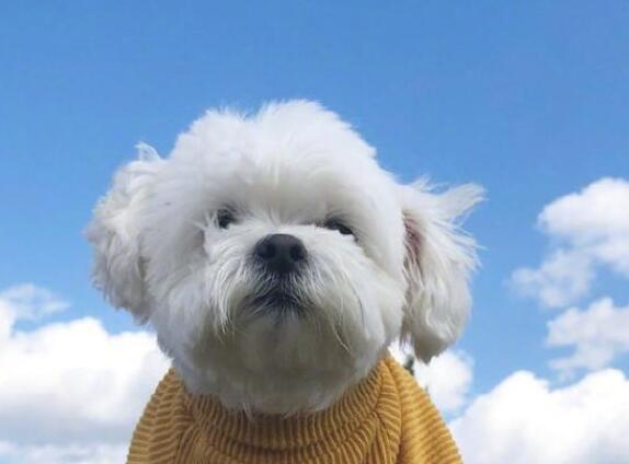 充满正能量阳光的说说文案