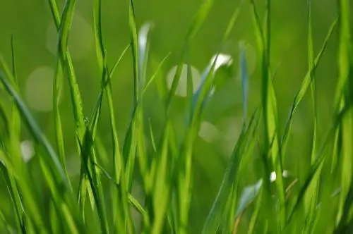 描写初春的句子文案和段落