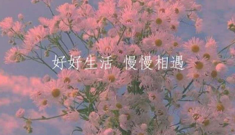 心累生活压力大的说说文案