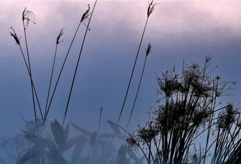 让人心痛心酸心碎的话