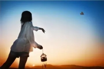 付出就有回报的句子文案