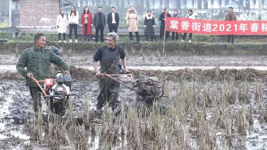 2024年春耕备耕宣传标语