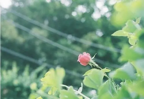 好想放下一切的说说文案