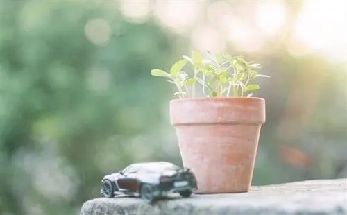 看淡一切无所谓的个性签名