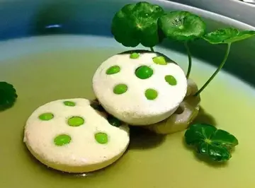 形容吃素静心的句子文案