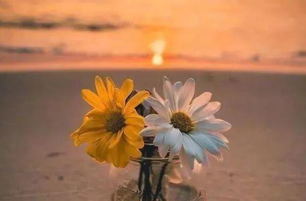 朋友圈励志早安