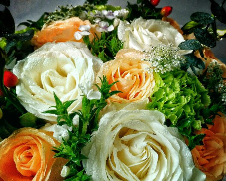 亚里士多德的名言