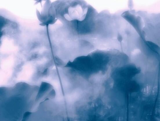 描写中国的唯美句子文案