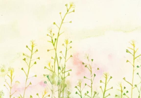 四年级优美句子文案