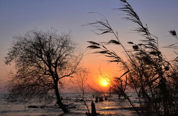 手帐可爱句子文案