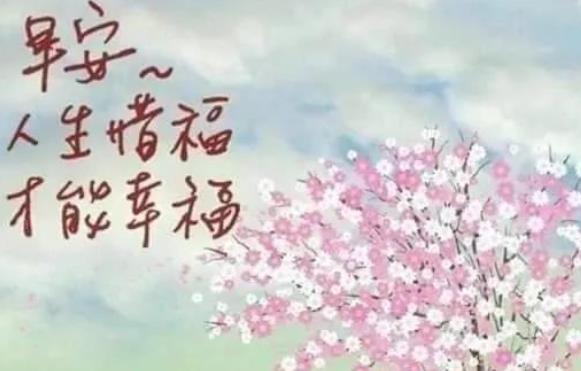 回复朋友的暖心句子文案和早安