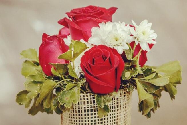 形容大胆尝试的词语句子文案