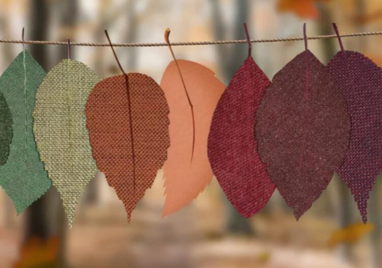 描写树叶的句子文案