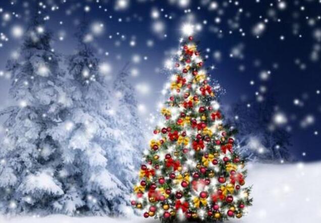 关于圣诞节的语句文案