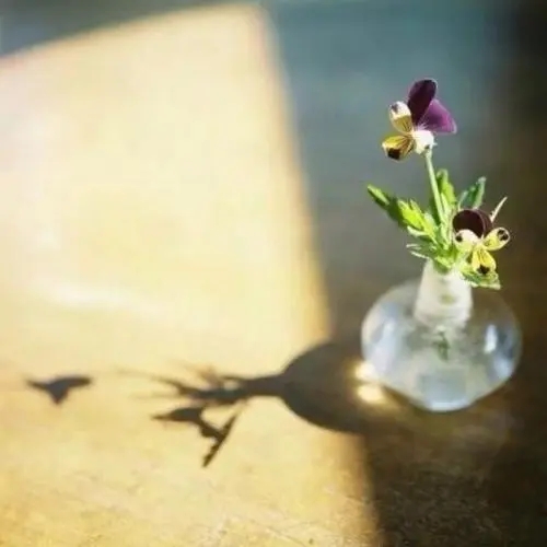 友谊相关的金句名言