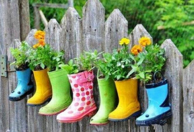 养花的搞笑文案