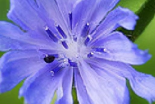 励志人生的经典句子文案